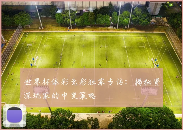 世界杯体彩竞彩独家专访:揭秘资深玩家的中奖策略