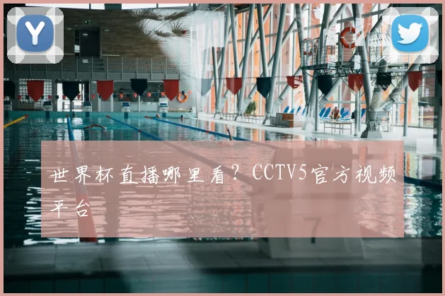 世界杯直播哪里看?CCTV5官方视频平台