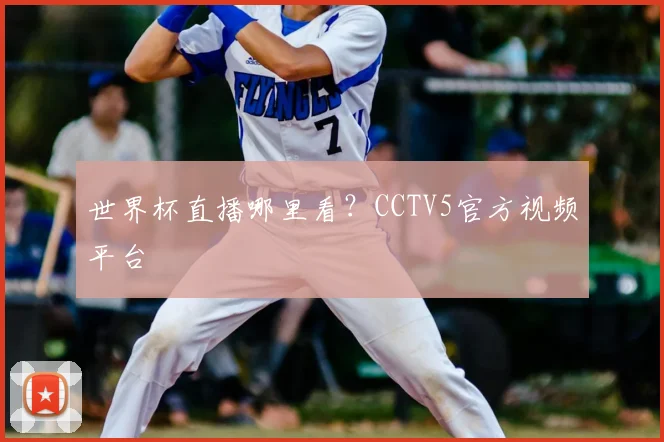 世界杯直播哪里看?CCTV5官方视频平台
