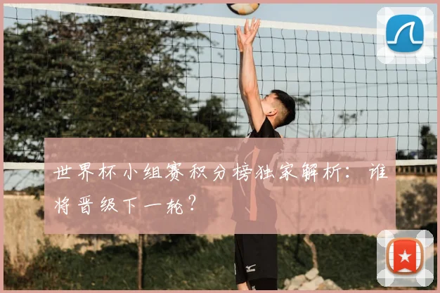 世界杯小组赛积分榜独家解析：谁将晋级下一轮？