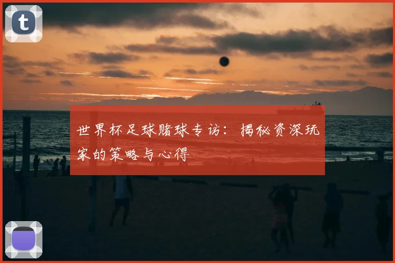 世界杯足球赌球专访:揭秘资深玩家的策略与心得