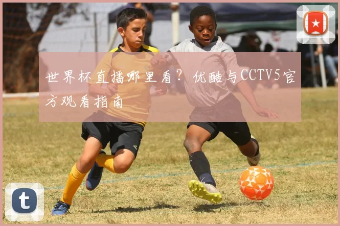 世界杯直播哪里看?优酷与CCTV5官方观看指南