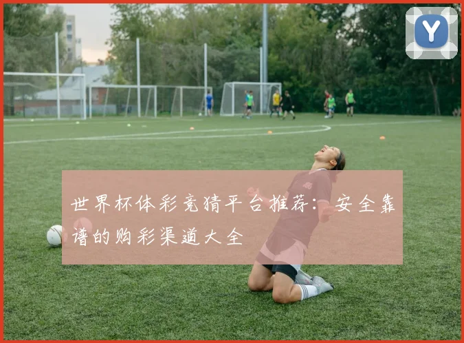 世界杯体彩竞猜平台推荐：安全靠谱的购彩渠道大全