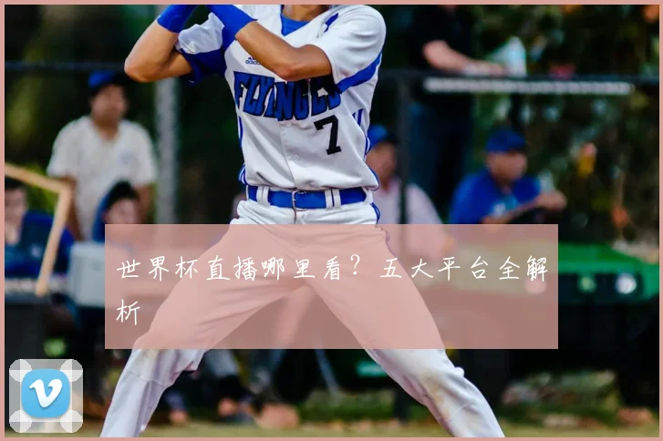 世界杯直播哪里看？五大平台全解析