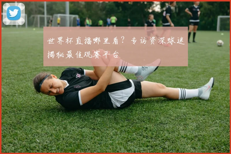 世界杯直播哪里看?专访资深球迷揭秘最佳观赛平台
