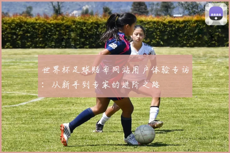 世界杯足球赔率网站用户体验专访:从新手到专家的进阶之路