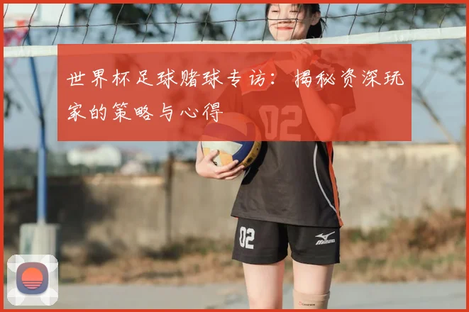 世界杯足球赌球专访:揭秘资深玩家的策略与心得